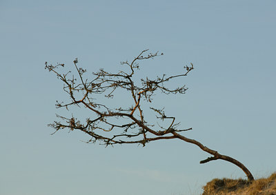 BUITEN BEELD Foto: 24672