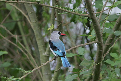 BUITEN BEELD Foto: 24700