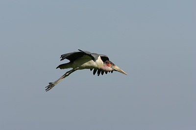 BUITEN BEELD Foto: 24703