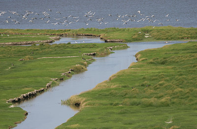 BUITEN BEELD Foto: 24712