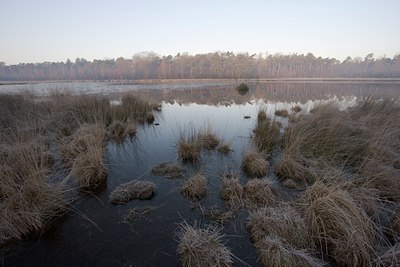 BUITEN BEELD Foto: 24719