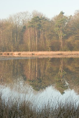 BUITEN BEELD Foto: 24721