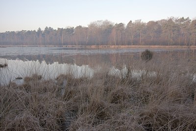 BUITEN BEELD Foto: 24727