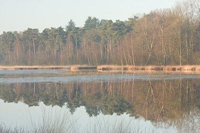 BUITEN BEELD Foto: 24729