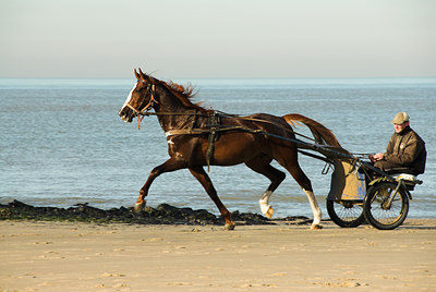 BUITEN BEELD Foto: 24794