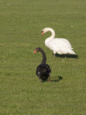 BUITEN BEELD Foto: 24803