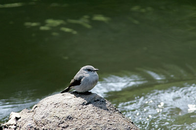 BUITEN BEELD Foto: 24827