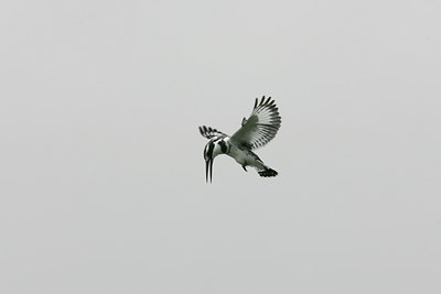BUITEN BEELD Foto: 24841