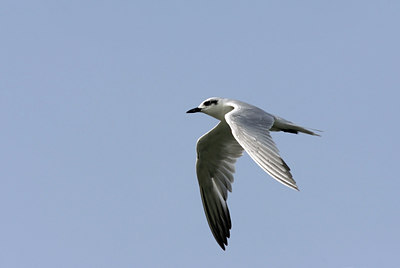 BUITEN BEELD Foto: 24869