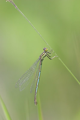 BUITEN BEELD Foto: 24909