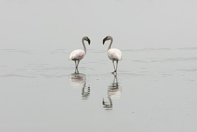 BUITEN BEELD Foto: 24930