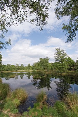 BUITEN BEELD Foto: 24977