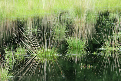 BUITEN BEELD Foto: 24978