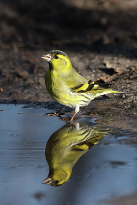 BUITEN BEELD Foto: 24994