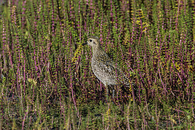 BUITEN BEELD Foto: 249071