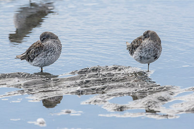 BUITEN BEELD Foto: 249084