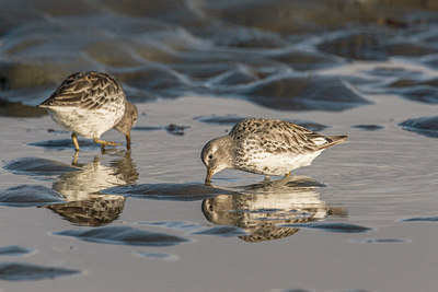 BUITEN BEELD Foto: 249108