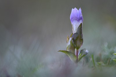 BUITEN BEELD Foto: 249113