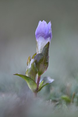 BUITEN BEELD Foto: 249114
