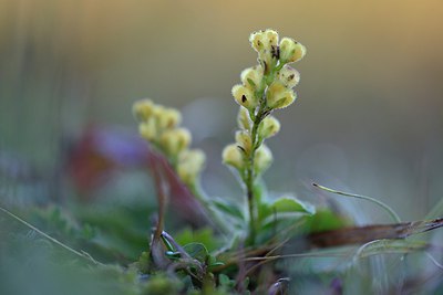 BUITEN BEELD Foto: 249117