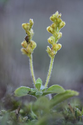 BUITEN BEELD Foto: 249118