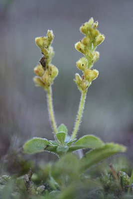 BUITEN BEELD Foto: 249118