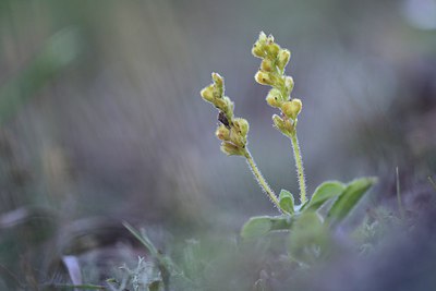 BUITEN BEELD Foto: 249119