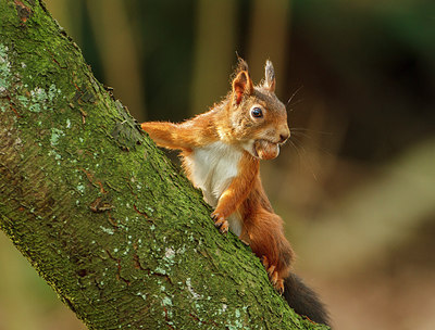 BUITEN BEELD Foto: 249164