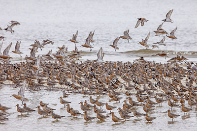 BUITEN BEELD Foto: 249242
