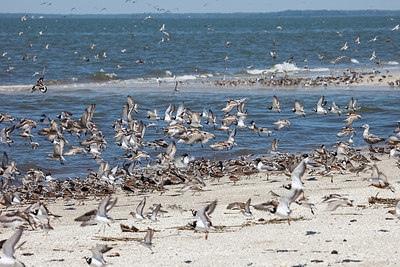 BUITEN BEELD Foto: 249267