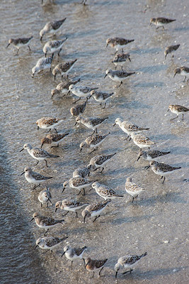 BUITEN BEELD Foto: 249290