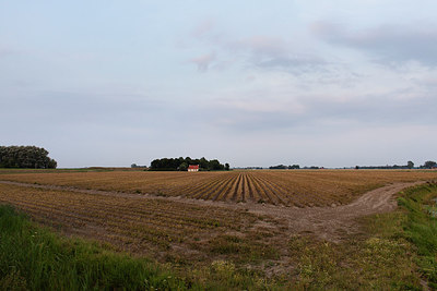 BUITEN BEELD Foto: 249305
