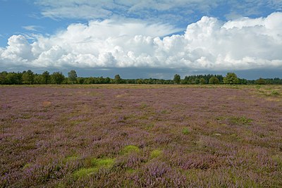 BUITEN BEELD Foto: 249411