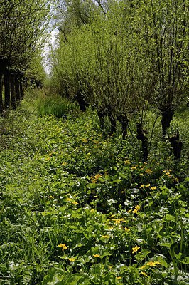 BUITEN BEELD Foto: 249416
