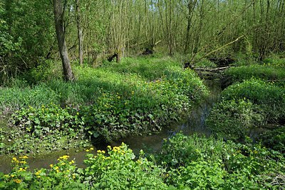 BUITEN BEELD Foto: 249418