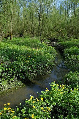 BUITEN BEELD Foto: 249419