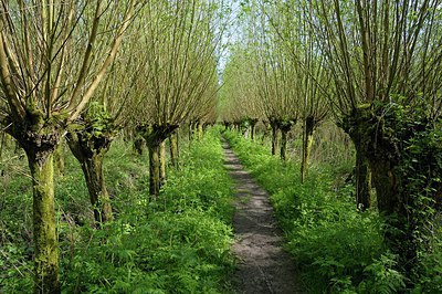 BUITEN BEELD Foto: 249439