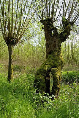 BUITEN BEELD Foto: 249440