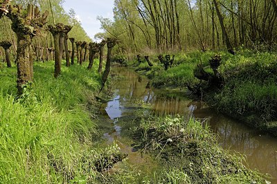 BUITEN BEELD Foto: 249441