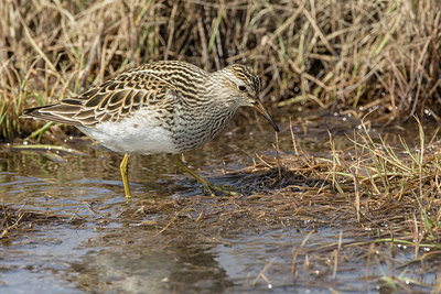 BUITEN BEELD Foto: 249511