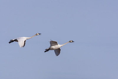 BUITEN BEELD Foto: 249650