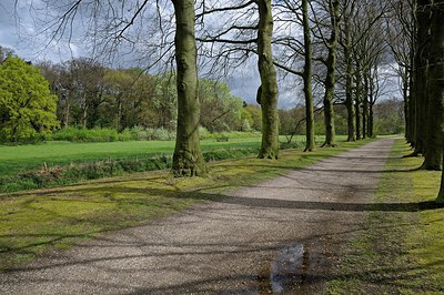 BUITEN BEELD Foto: 249673