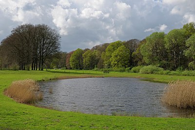 BUITEN BEELD Foto: 249676