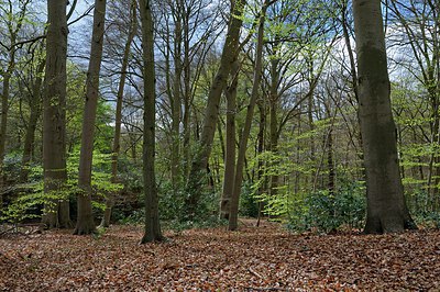 BUITEN BEELD Foto: 249683
