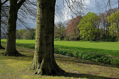 BUITEN BEELD Foto: 249686