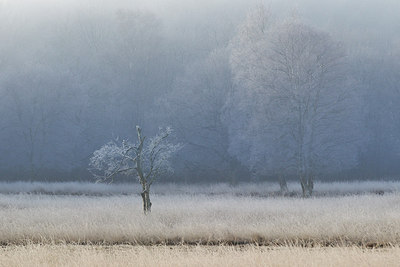 BUITEN BEELD Foto: 249687
