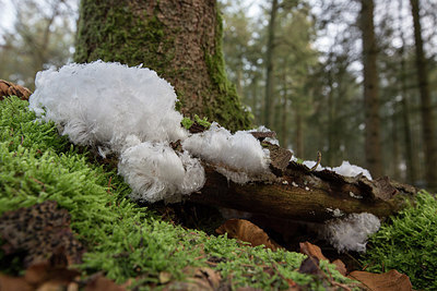 BUITEN BEELD Foto: 249706