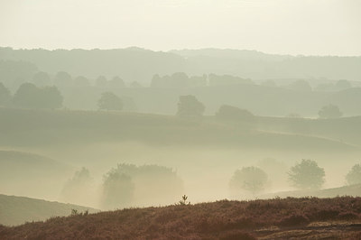 BUITEN BEELD Foto: 249751