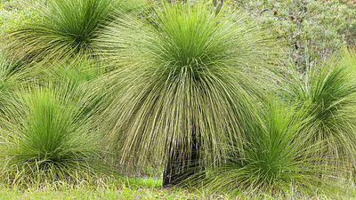 BUITEN BEELD Foto: 249752