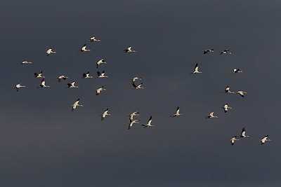 BUITEN BEELD Foto: 249794